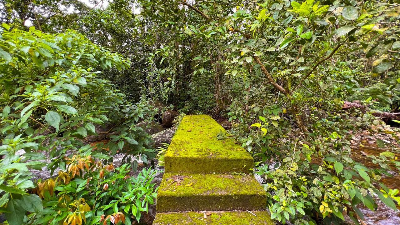 Pousada Ananda Parivara Ubatuba Exterior foto